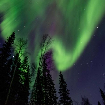 Riverside Log Cabin On-Site Aurora Viewing! North Pole Ngoại thất bức ảnh