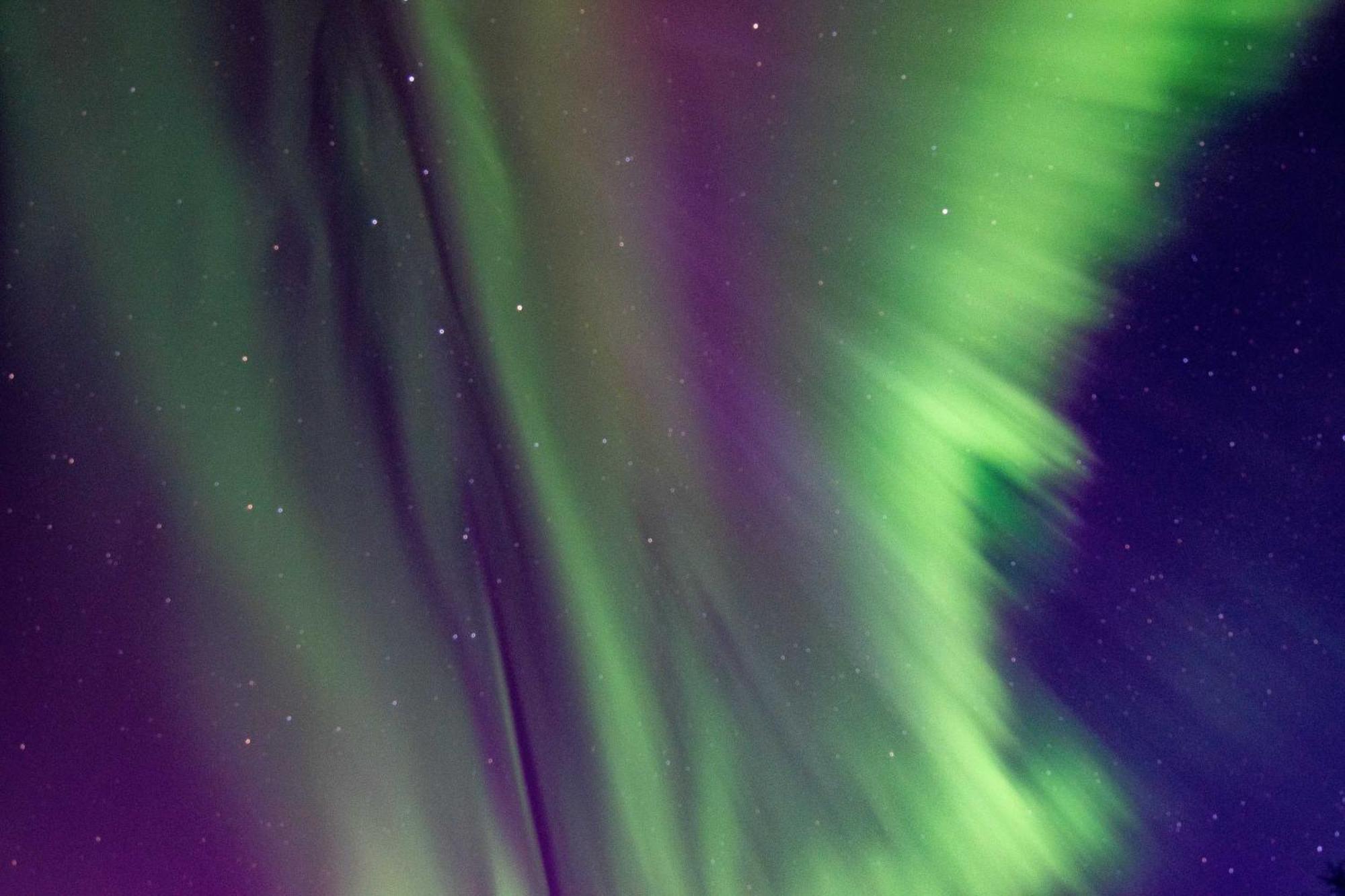 Riverside Log Cabin On-Site Aurora Viewing! North Pole Ngoại thất bức ảnh